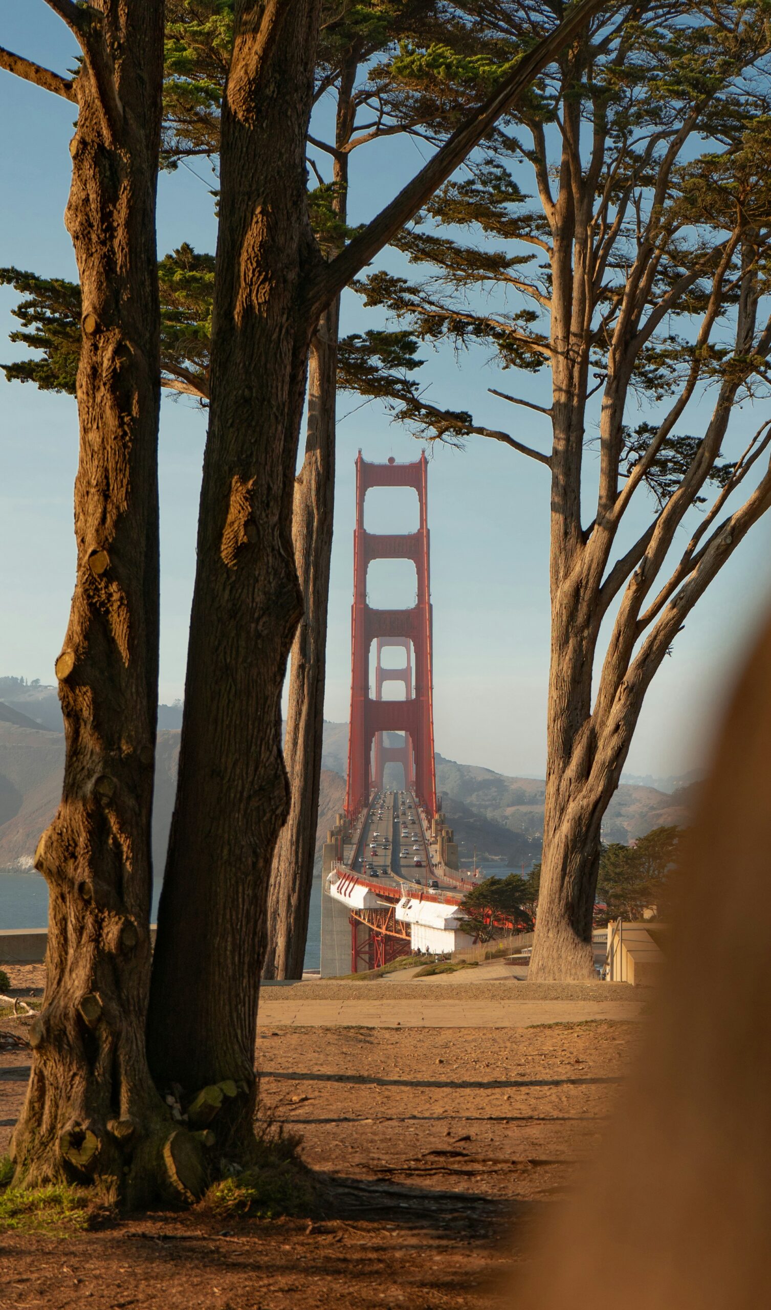 Golden_Gate_Bridge_San_Francisco_nature_trail_viewpoint_framed_bridge_landmark_trees_California_travel